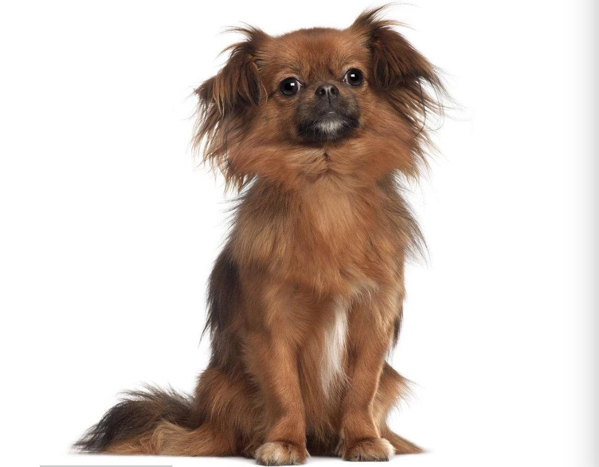 穿越时空，揭秘西藏的独特魅力