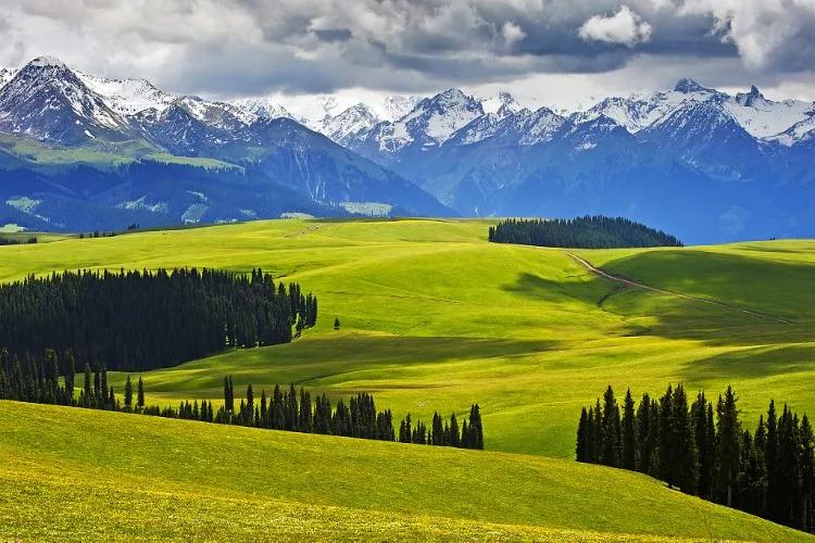 新疆，多元文化交融的璀璨明珠